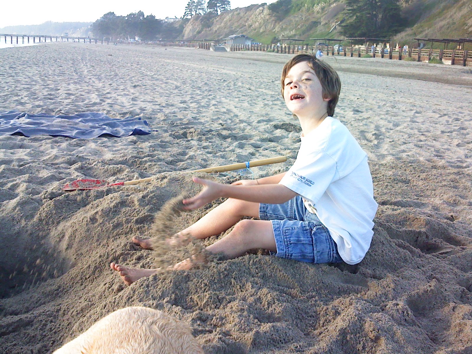 Beach, December 2008